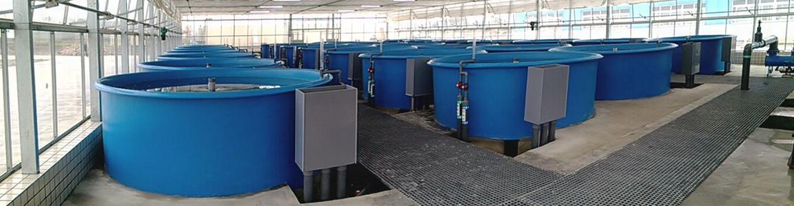 product-1-1 product-1-1