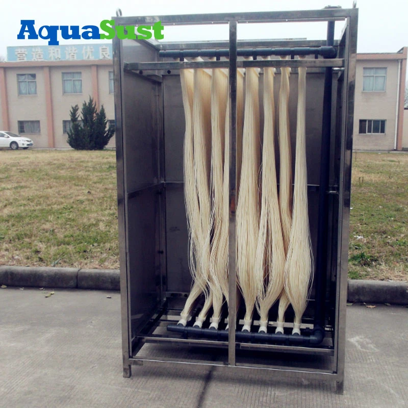 product-800-800